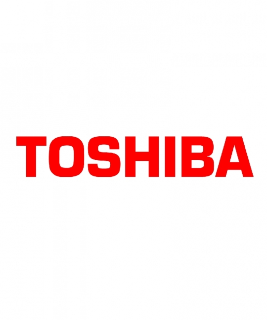 LGC Board  (Scheda Logica) Toshiba e-Studio 2508a